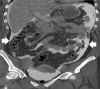 Figure 18: