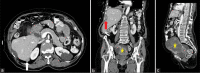 Figure 10:
