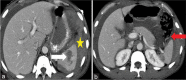 Figure 7:
