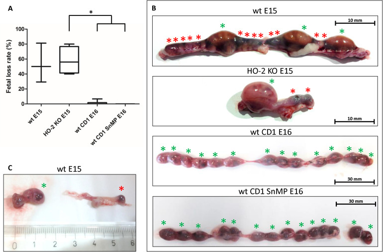 FIGURE 12