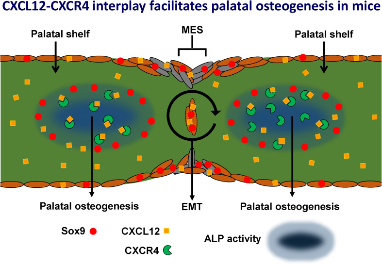 FIGURE 14