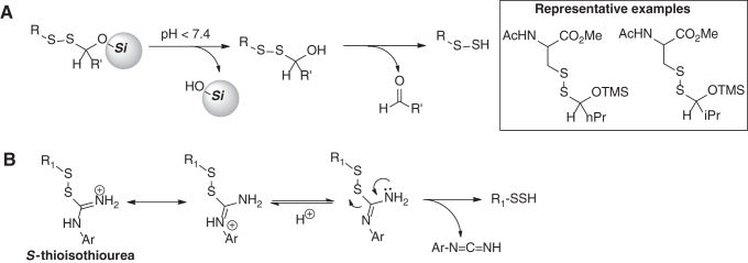 graphic file with name ars.2019.7889_figure10.jpg