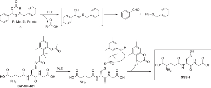 graphic file with name ars.2019.7889_figure11.jpg