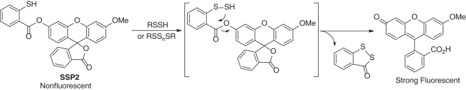 graphic file with name ars.2019.7889_figure19.jpg