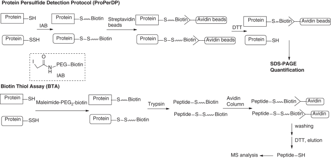 graphic file with name ars.2019.7889_figure18.jpg