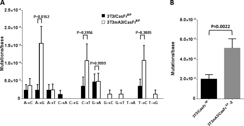 FIG 3