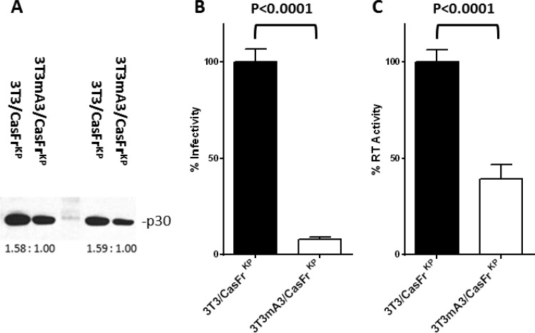 FIG 2