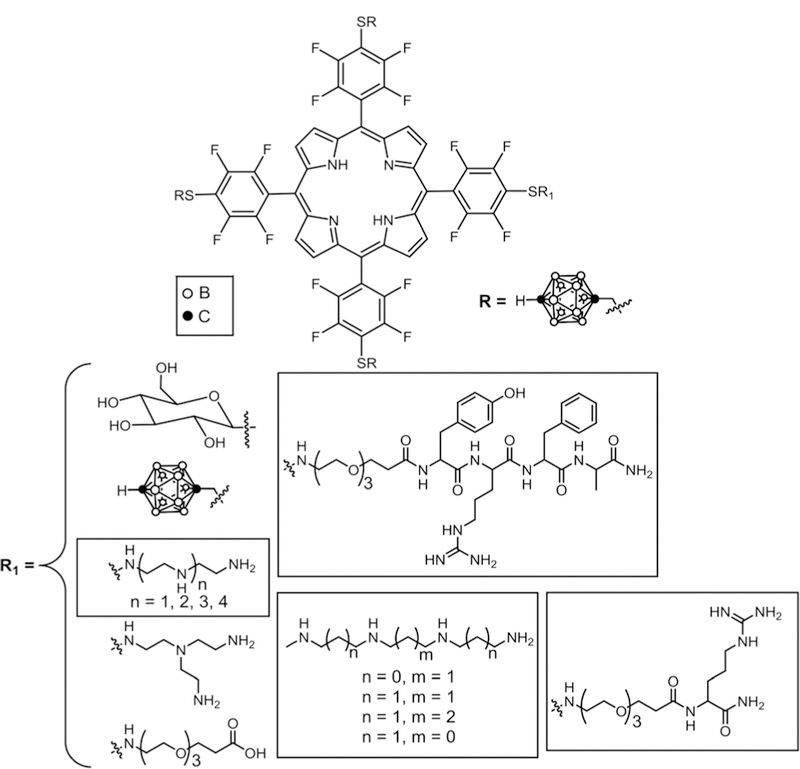 Fig. 12