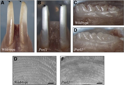 Figure 2.