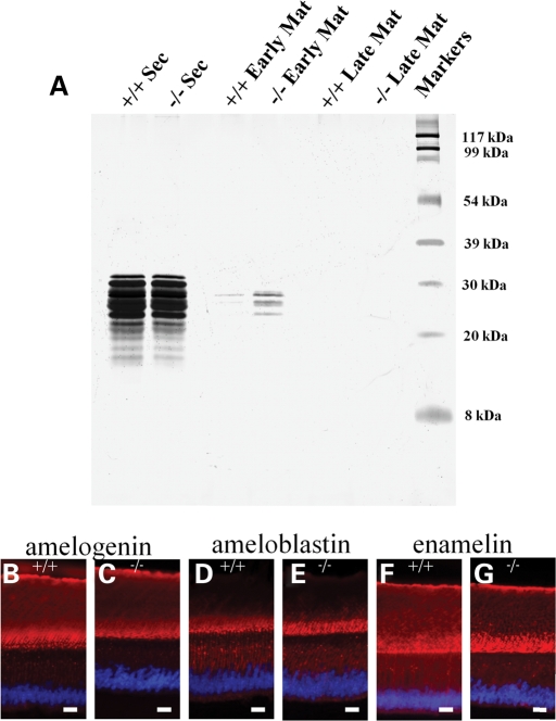 Figure 4.