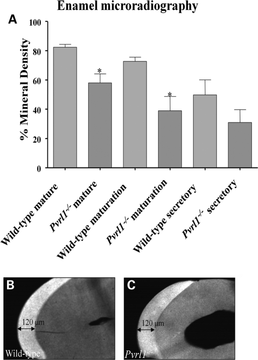 Figure 3.