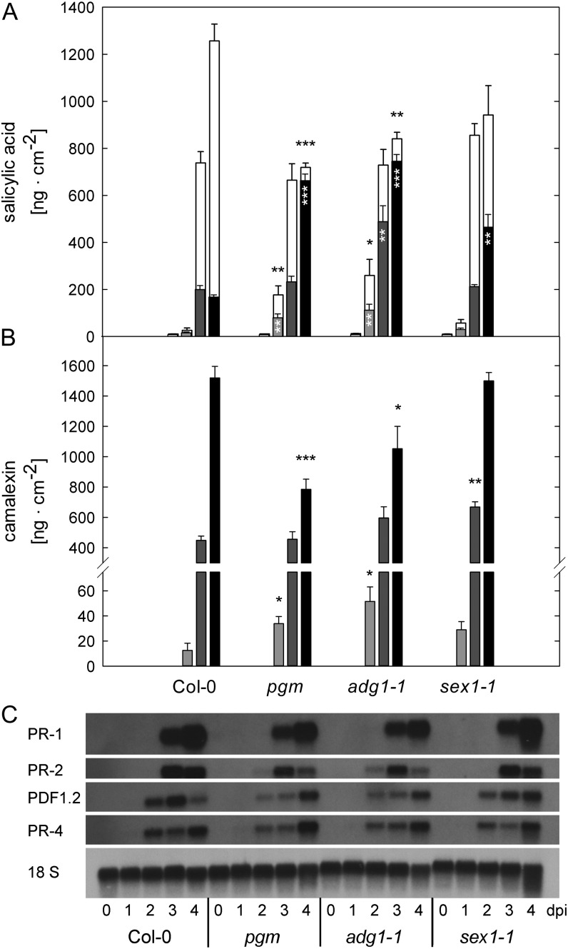 Figure 6.