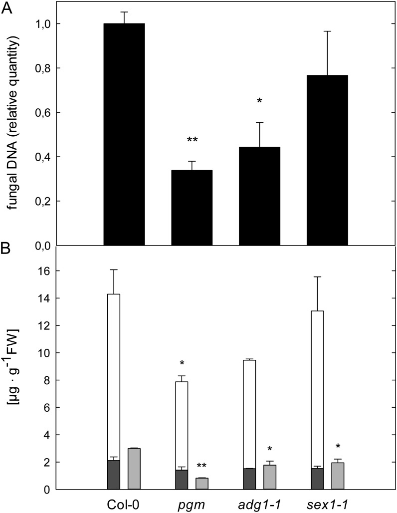 Figure 7.