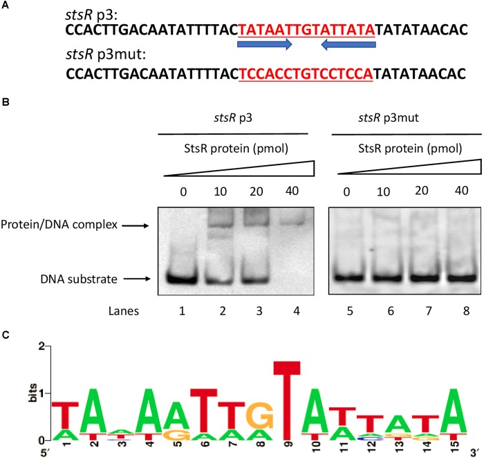 FIGURE 12