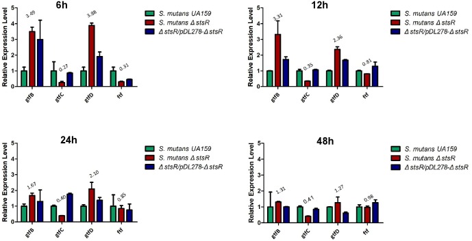 FIGURE 6