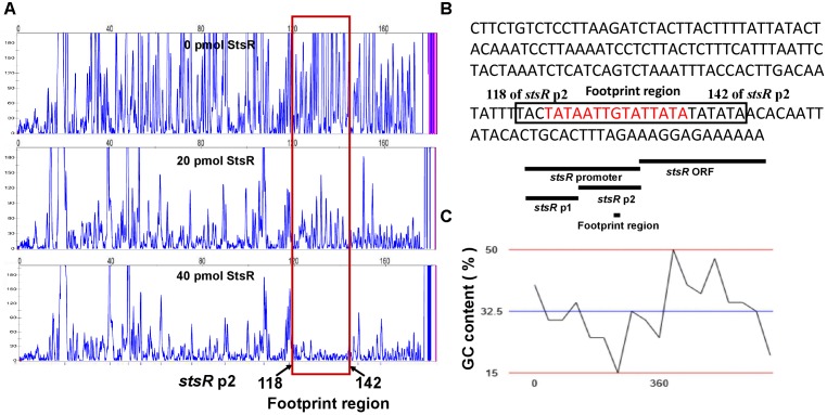 FIGURE 11