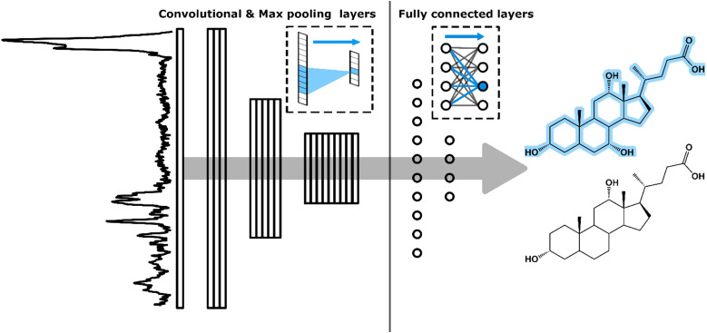 Graphical Abstract