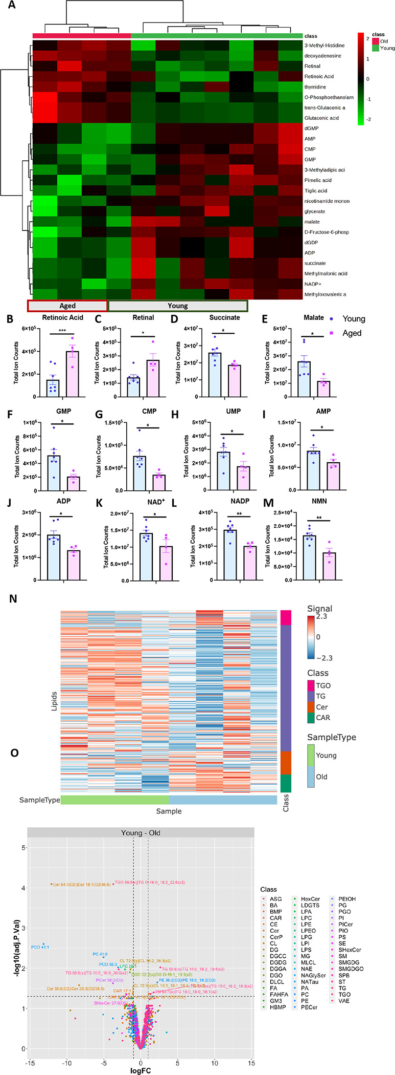 Figure 4: