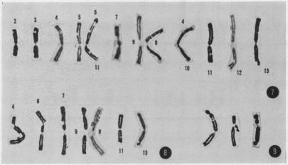 graphic file with name pnas00229-0041-a.jpg