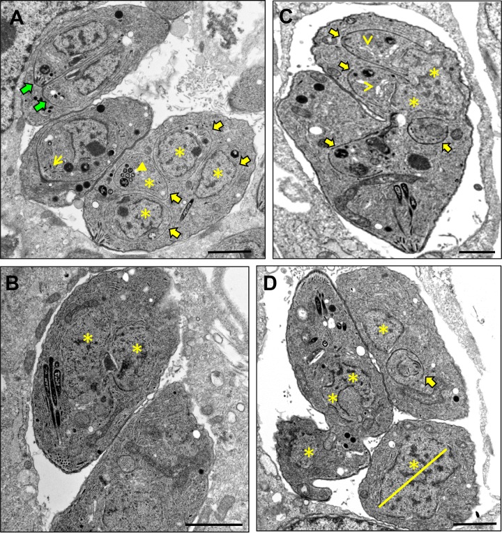 FIG 3 