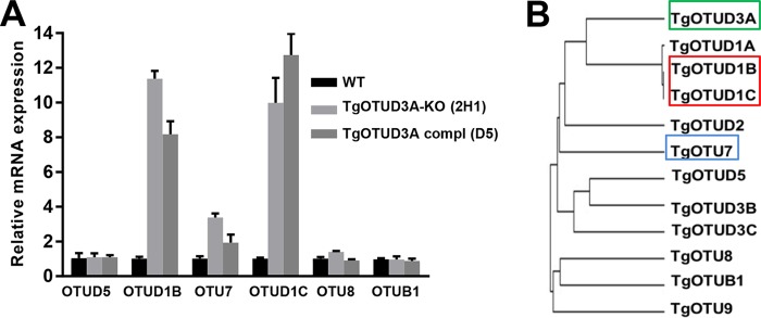 FIG 10 