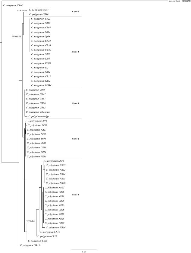 FIG. 3.