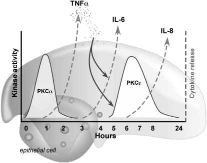 Figure 8.