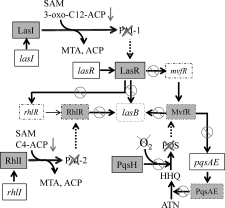 Fig. 7.