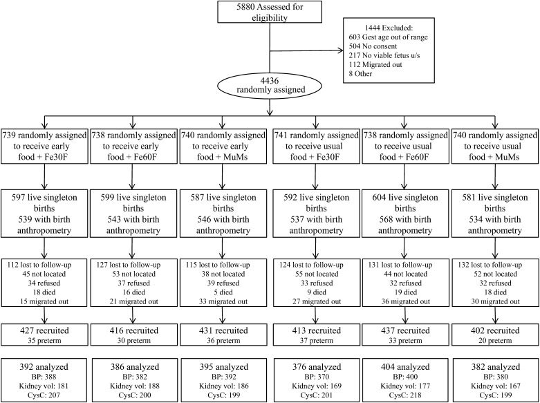 FIGURE 1