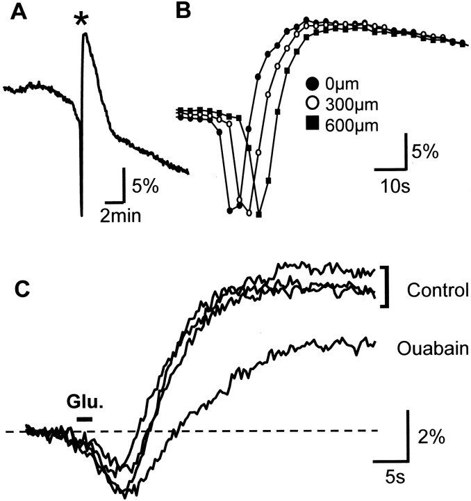 Fig. 9.