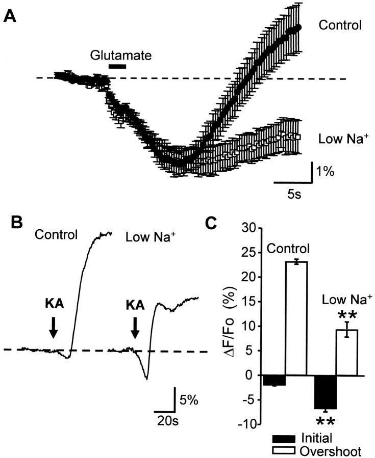 Fig. 10.