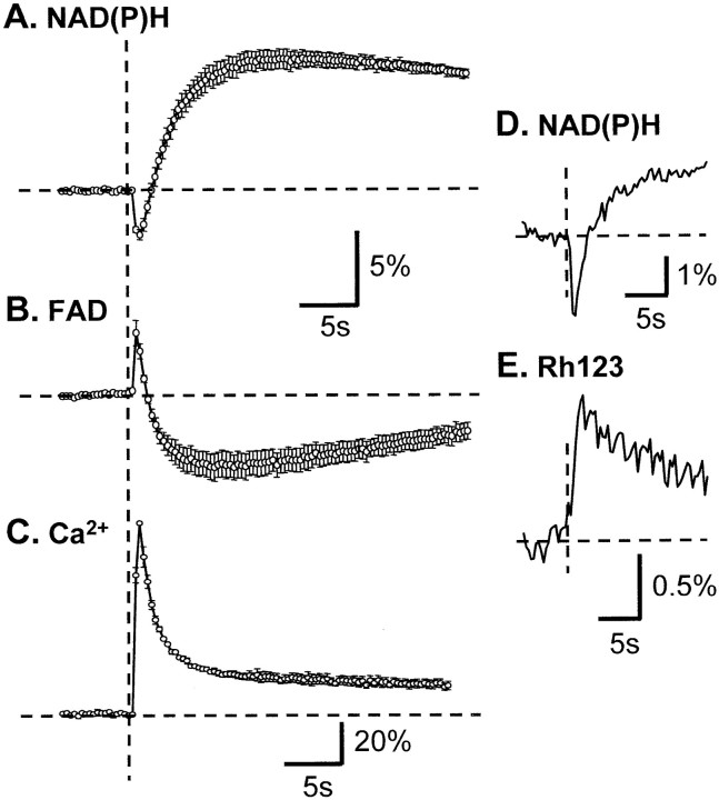 Fig. 5.