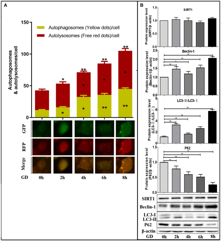 Figure 3