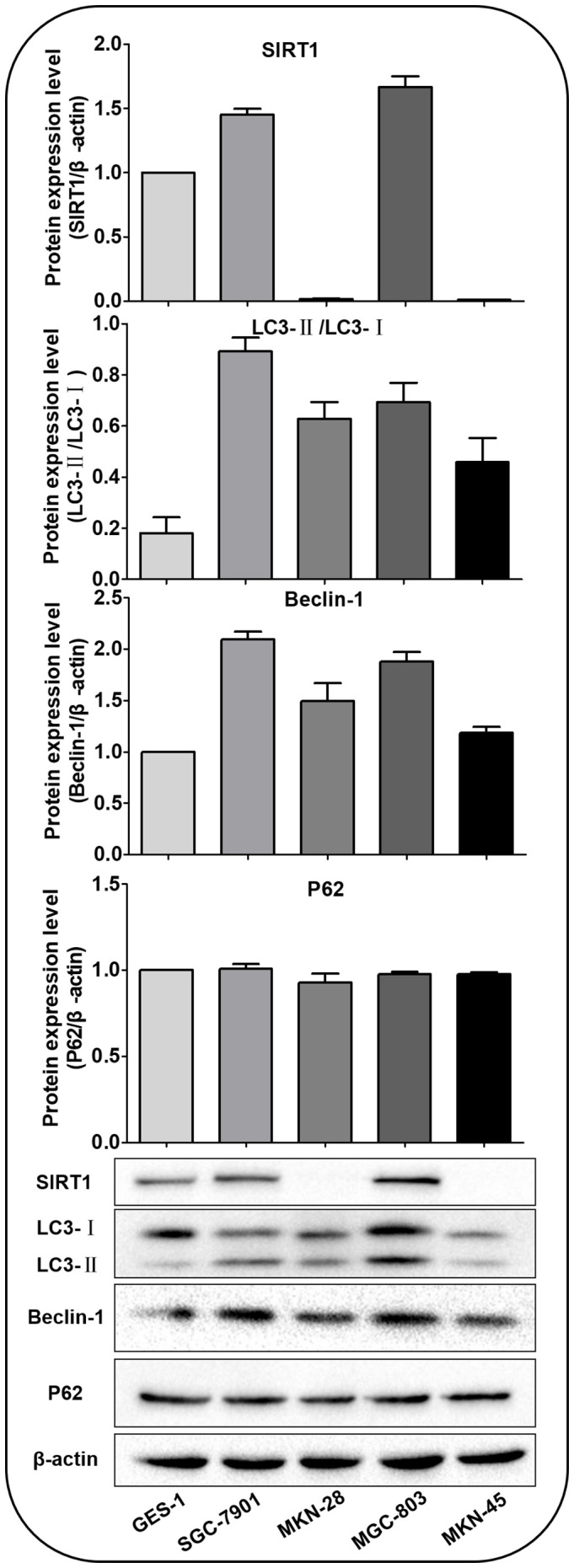 Figure 2