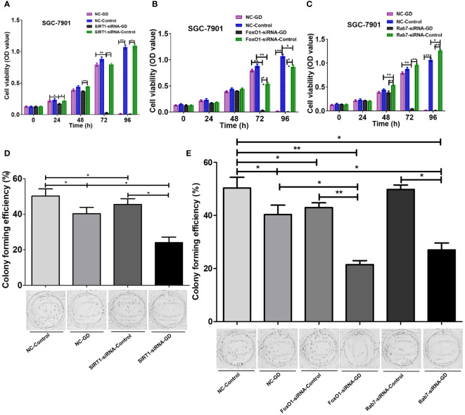 Figure 6