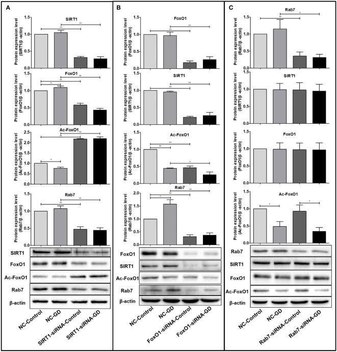 Figure 4