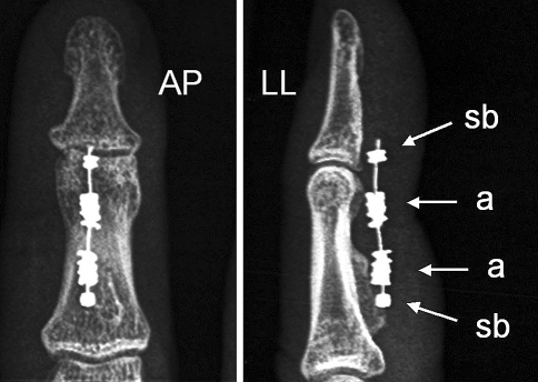 Fig. 5