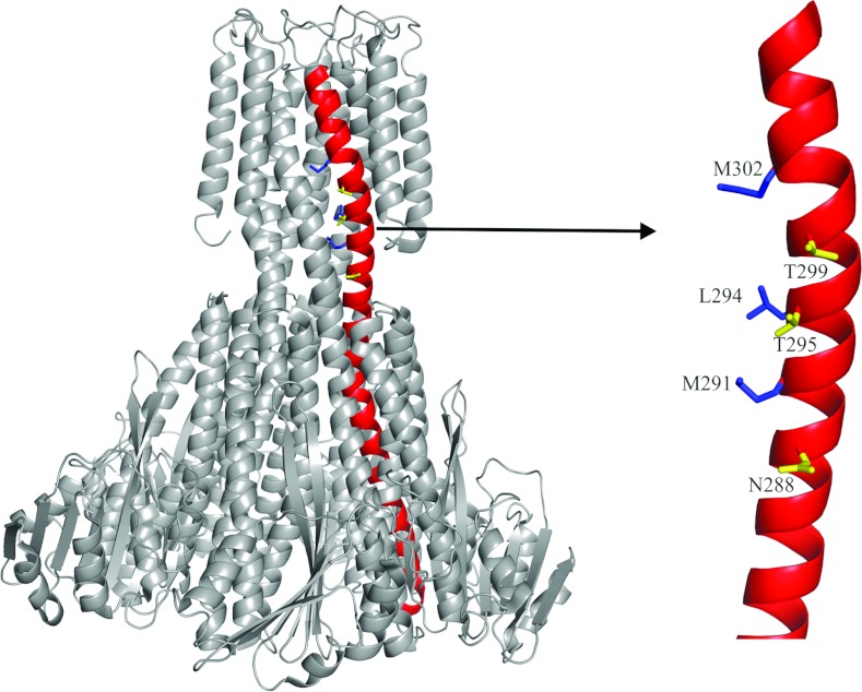 Figure 2