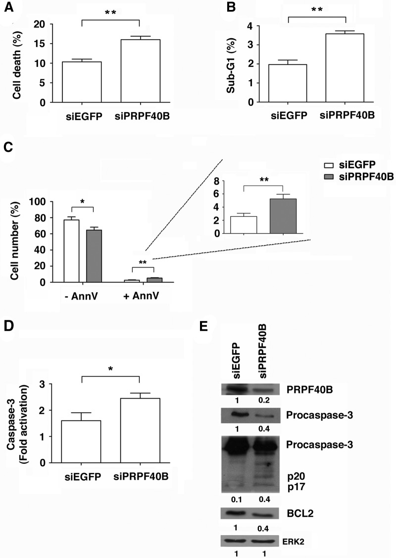 FIGURE 11.