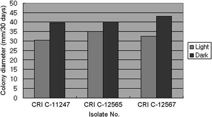 Fig. 7