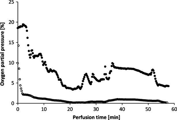 Fig. 13