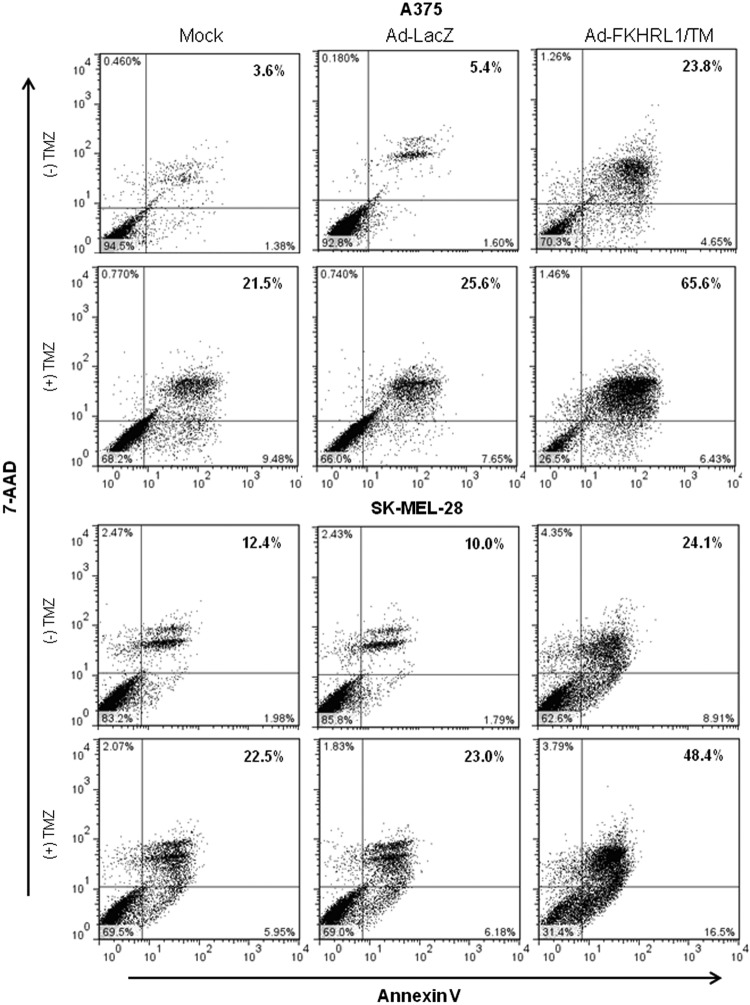 FIG. 6.