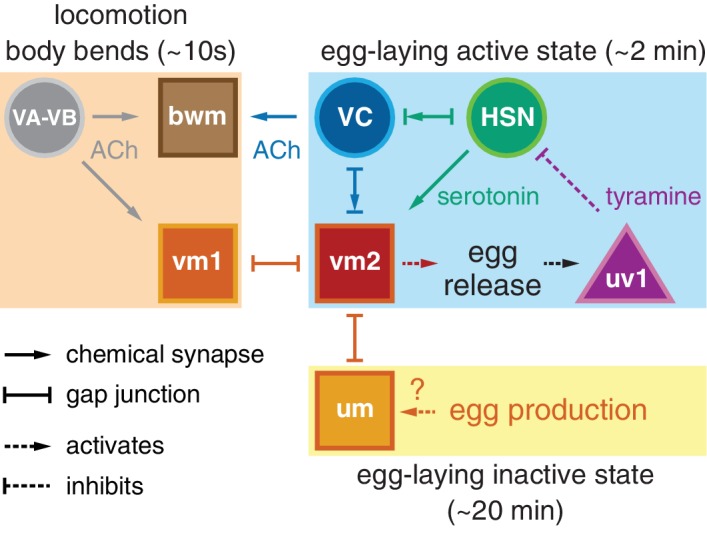 Figure 7.