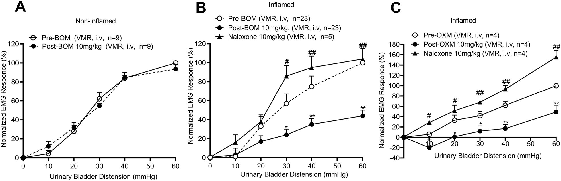 Figure 9: