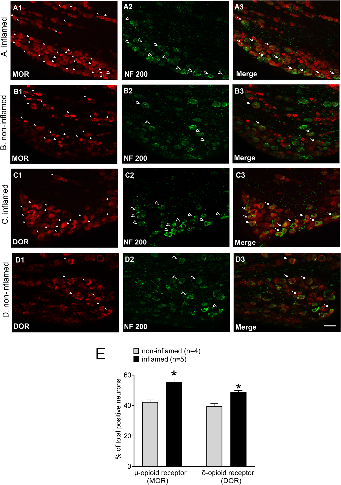 Figure 3: