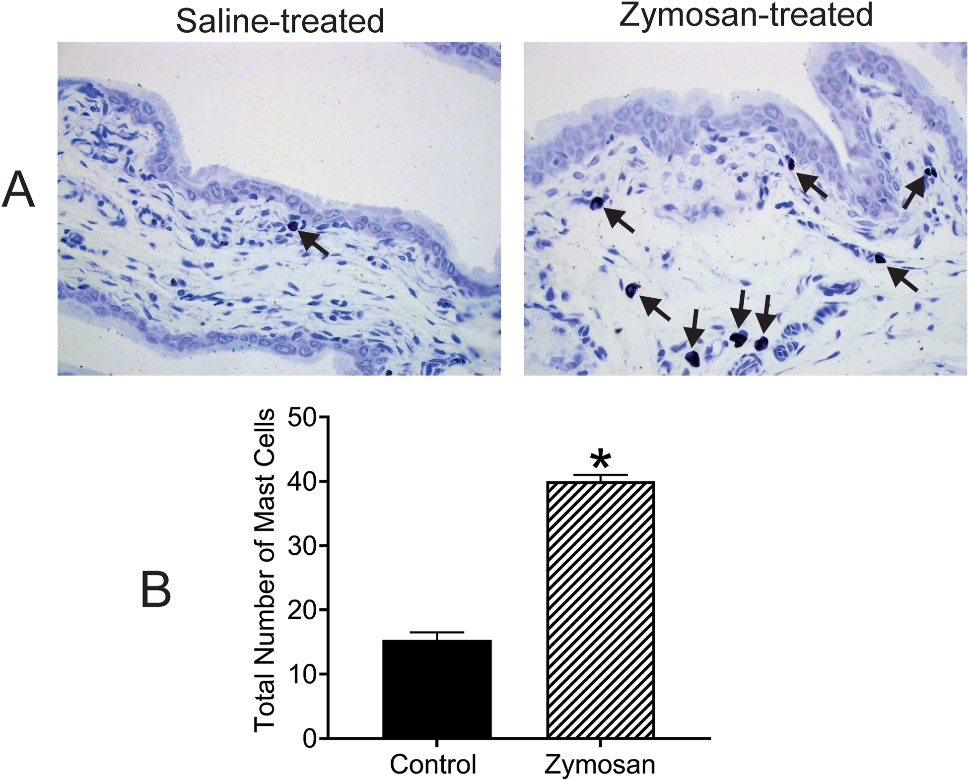 Figure 2: