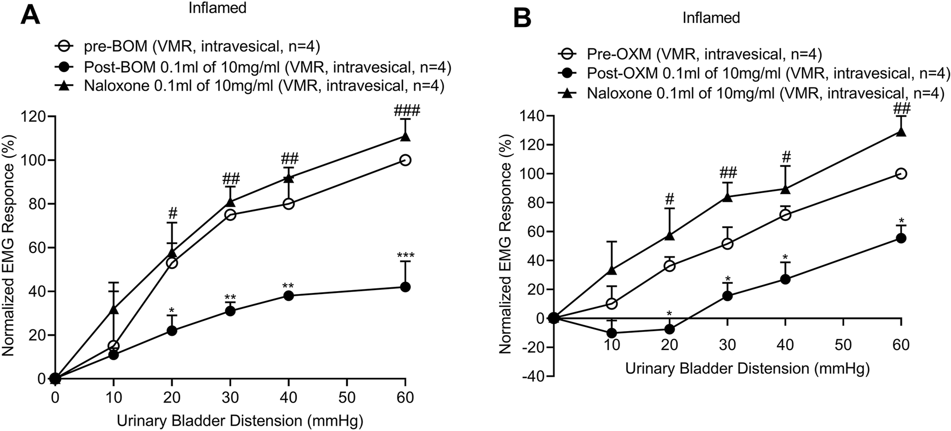 Figure 10: