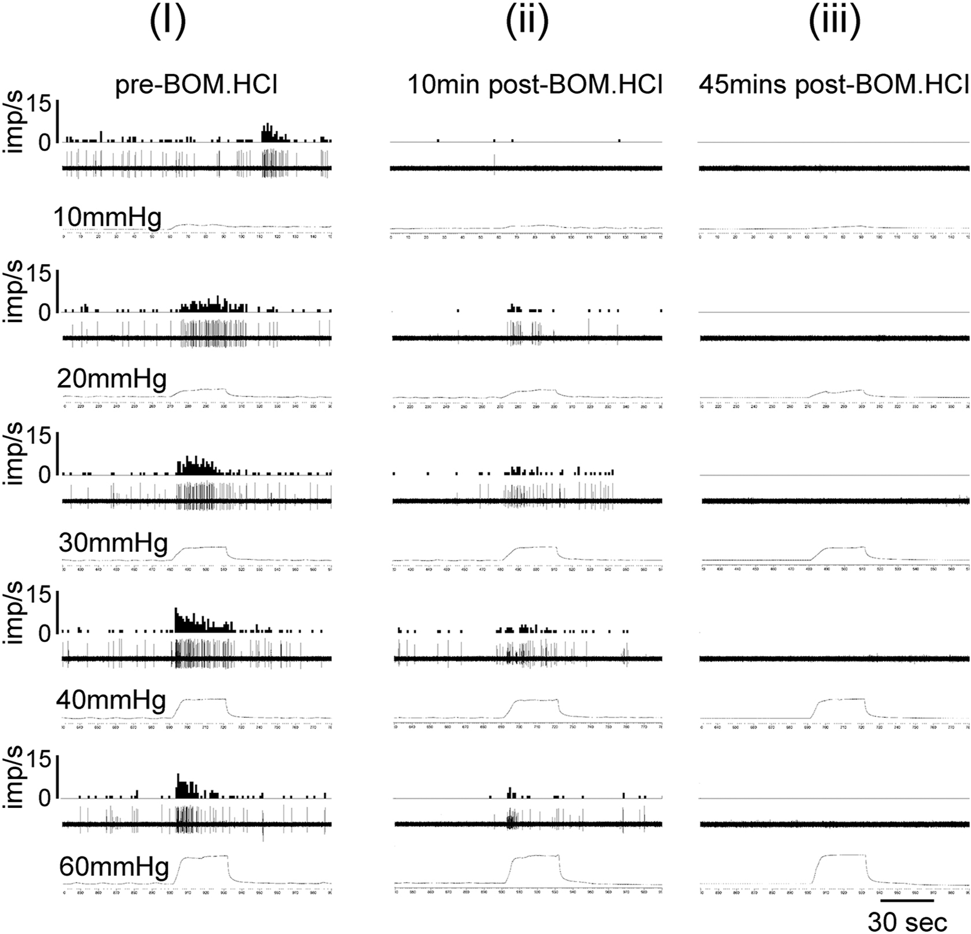 Figure 5: