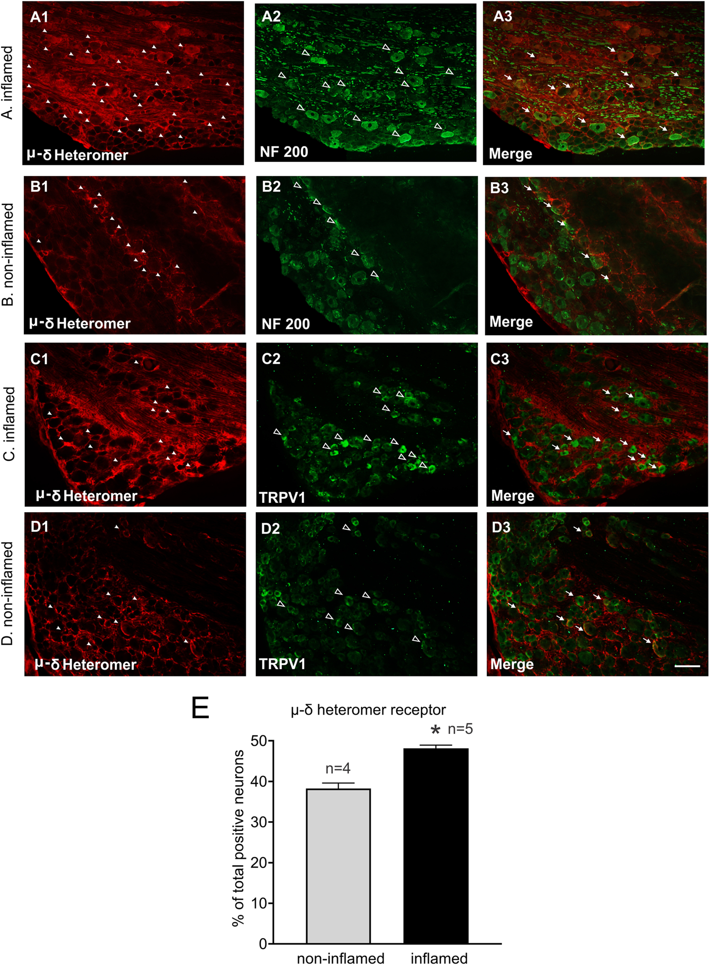 Figure 4: