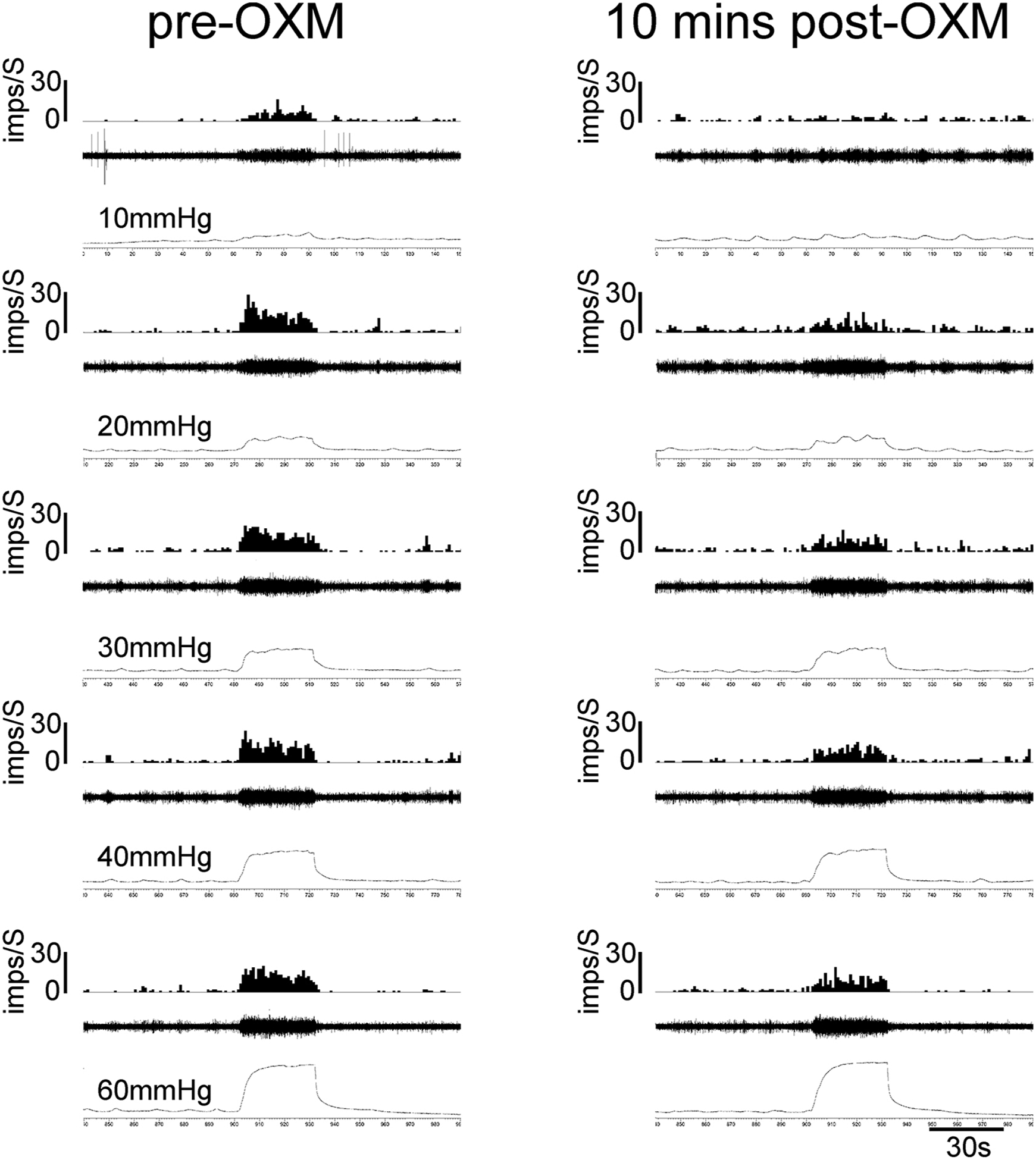 Figure 6: